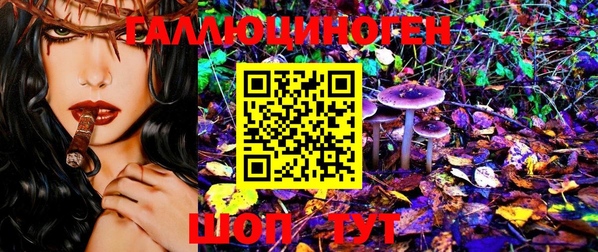 Ртищево  Псилоцибиновые грибы MAGIC MUSHROOMS  Вход с VPN 