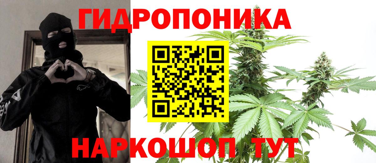 Канабис семена  МАРИХУАНА план  Ртищево  МАРИХУАНА ГИДРОПОН  Вход с VPN 